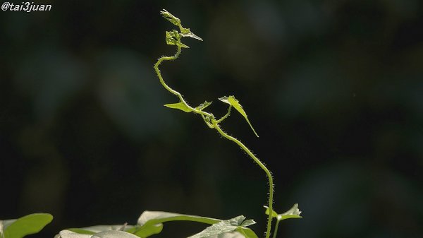 ストレスを貯めない～(@_@)