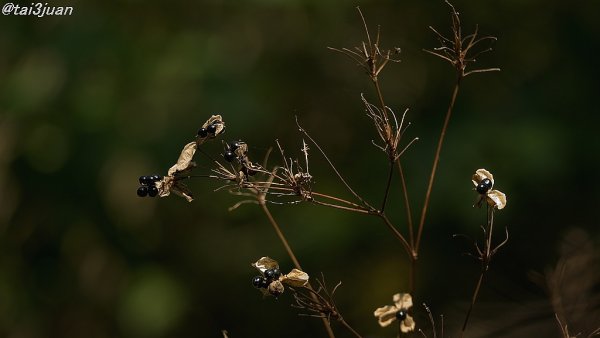 こんなところに～(^_^)V