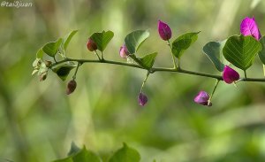 引っ越し～(^o^)