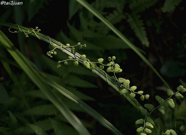 かたっぱし～ヽ(`Д´)ﾉ