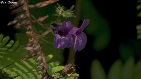 会えるだけで～ヽ(‘ ∇‘ )ノ