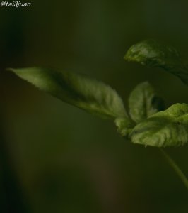 居てくれた～ヽ(‘ ∇‘ )ノ