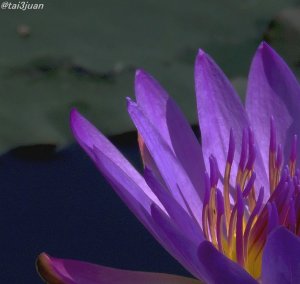 渡航禁止～(#ﾟДﾟ)