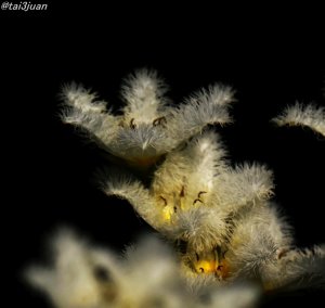 １４日隔離開始～(^。^;)