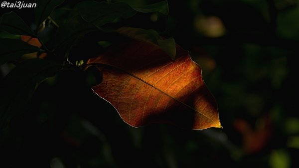 ほらぁ～アレアレ？？( ^_^)／