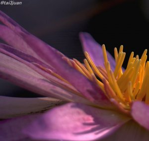 ８歳の誕生パーティ～(＞＜)