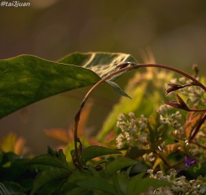 寒くなったぁ～(≧∇≦)