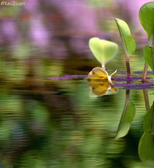 雲行きが怪しくなった(#ﾟДﾟ)