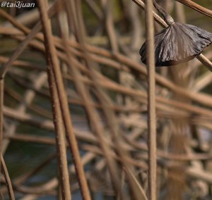 久しぶり～(≧∇≦)