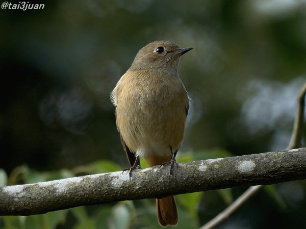 はやぶさ２～ヽ(‘ ∇‘ )ノ