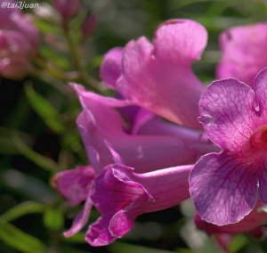 これでお別れだぁ～＿|￣|○