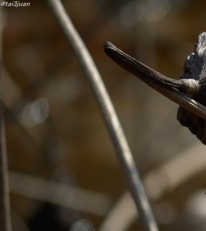 アレッ！居るゾ～(≧∇≦)