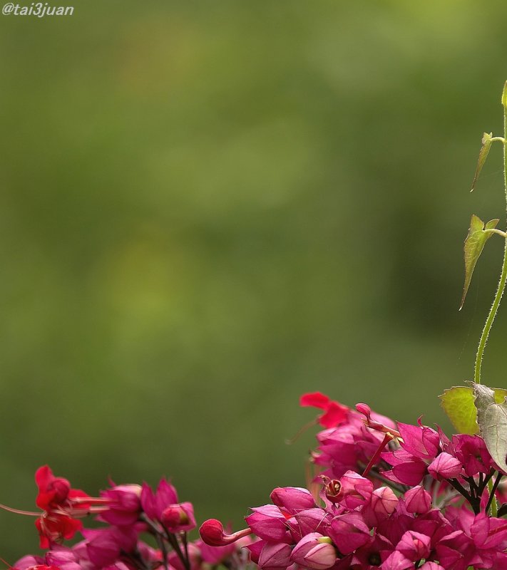 成果発表～ヽ(‘ ∇‘ )ノ