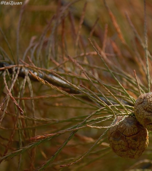 X´マス～イブイブ～(≧∇≦)