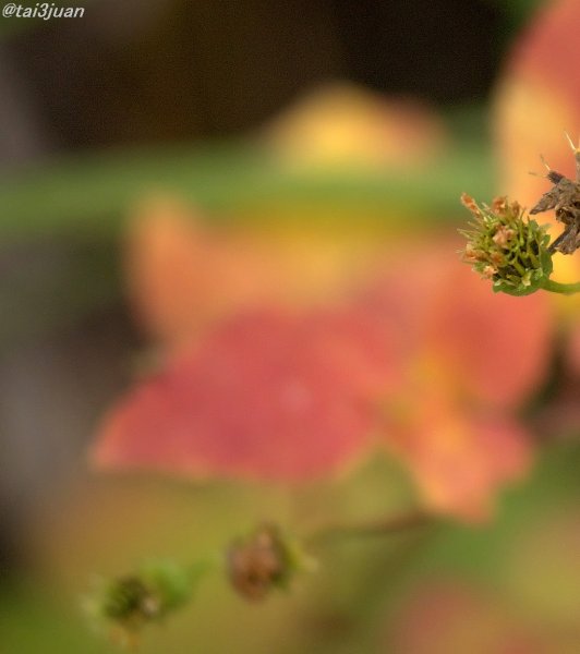 Ｘ’マスも行った～ヽ(‘ ∇‘ )ノ