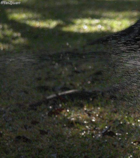 返金してくれた( °Д°)