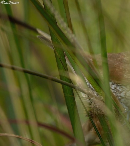 明日～ヽ(‘ ∇‘ )ノ