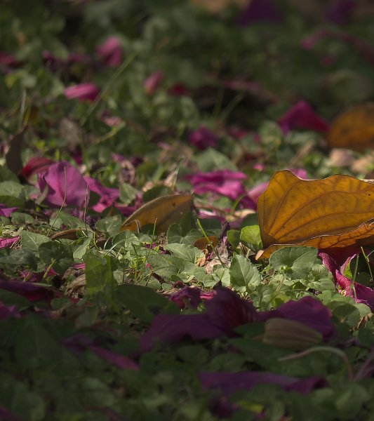 寝ていたぁ～(≧∇≦)