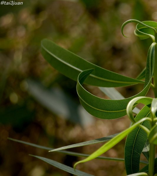 友達の意見～(≧∇≦)