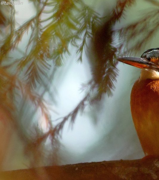 新らたな赴任者～(⌒▽⌒)
