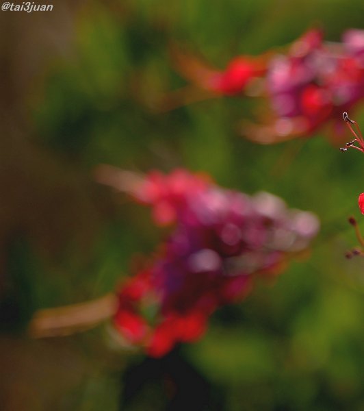 底が見えた～ヽ(‘ ∇‘ )ノ