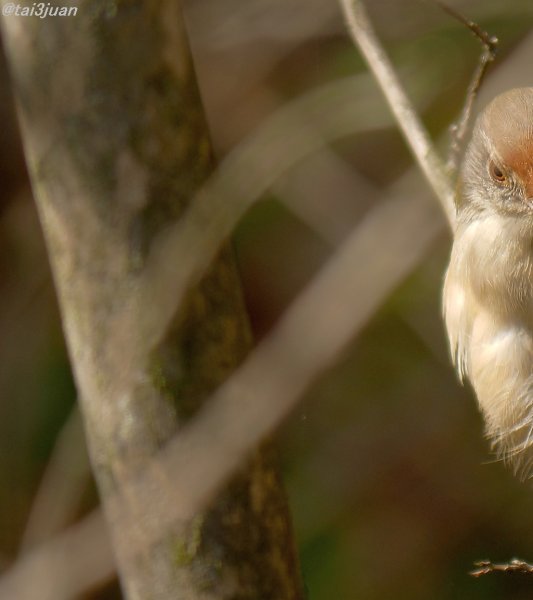 ダウンジャケット～ヽ(‘ ∇‘ )ノ