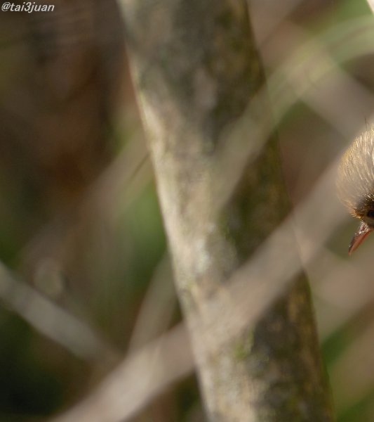 効果あったかぁ～ヽ(‘ ∇‘ )ノ