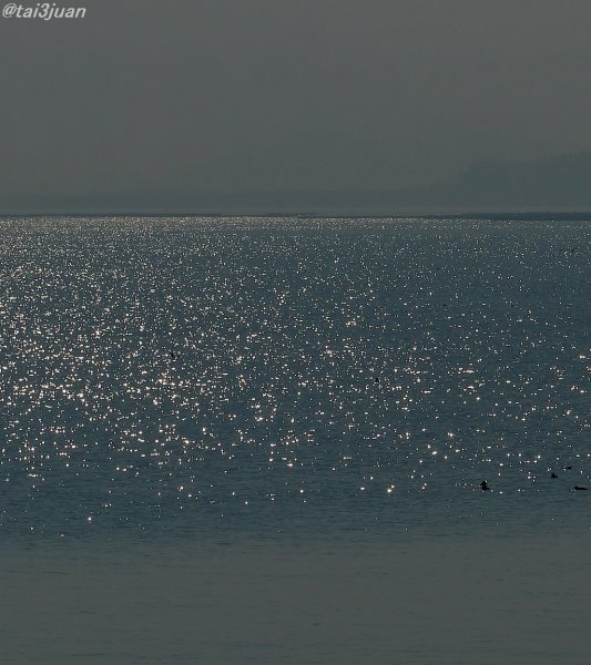 ビジネストラック消滅＿|￣|○