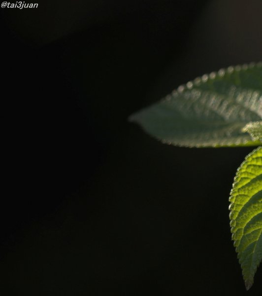 そろそろかぁ～ヽ(‘ ∇‘ )ノ