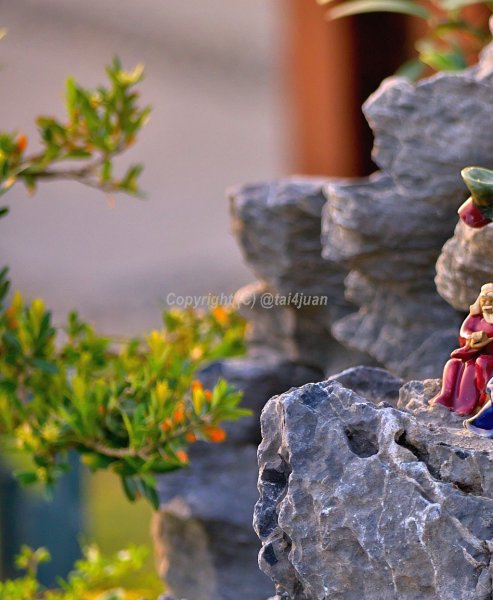 今度は何処を観光するか～(≧▽≦)