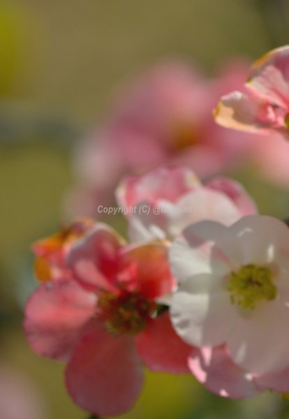 AliExpressはダメだ！②<`ヘ´>