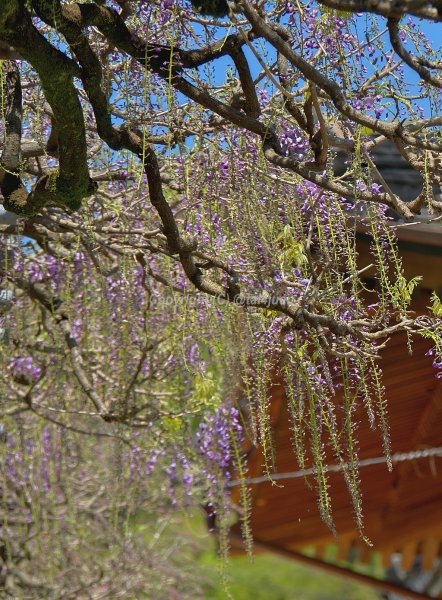 AliExpressはダメだ！③<`ヘ´>