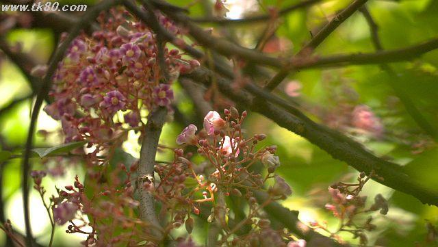 ファイル 1012-3.jpg