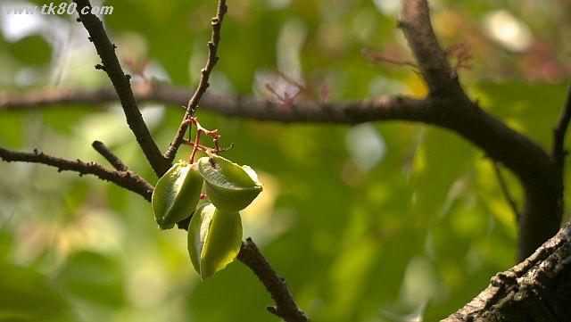 ファイル 1012-4.jpg