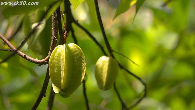 ファイル 1012-5.jpg