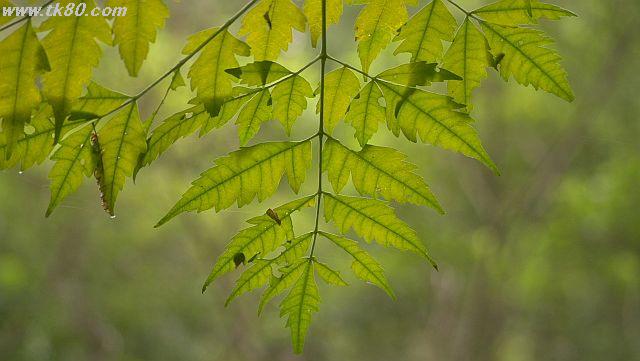 ãã¡ã€ã« 1025-1.jpg