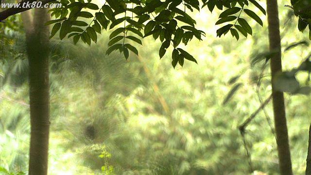 ãã¡ã€ã« 1025-2.jpg