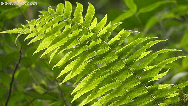 ãã¡ã€ã« 1025-4.jpg