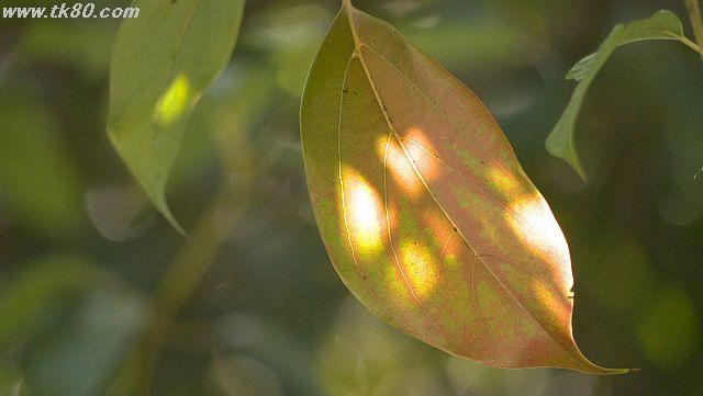 ãã¡ã€ã« 1027-1.jpg