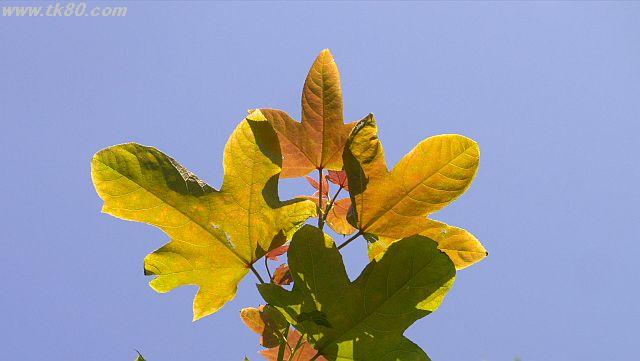 ãã¡ã€ã« 1027-3.jpg