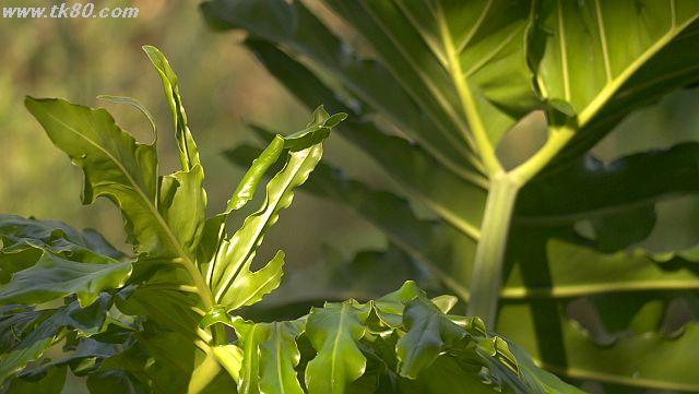 ãã¡ã€ã« 1029-1.jpg