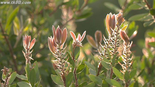 ãã¡ã€ã« 1029-2.jpg