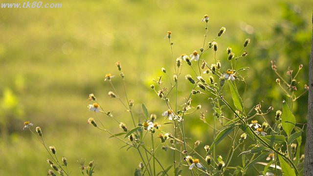 ãã¡ã€ã« 1029-3.jpg