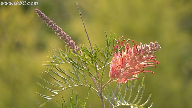 ãã¡ã€ã« 1029-4.jpg