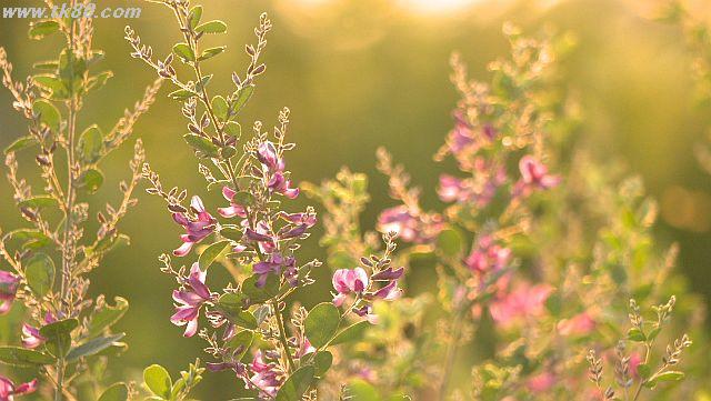 ãã¡ã€ã« 1029-5.jpg