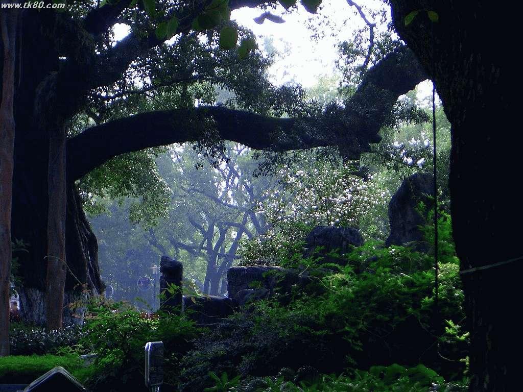 æšã
ã¯å€ªãè¯ãæå
¥ããããŠããæ§ã§ã