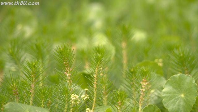 ãã¡ã€ã« 1034-2.jpg