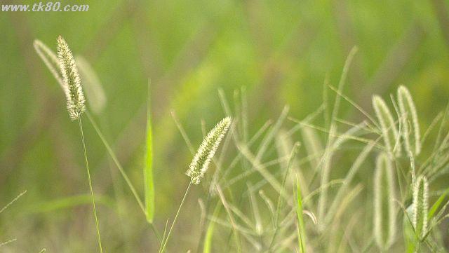 ãã¡ã€ã« 1034-3.jpg