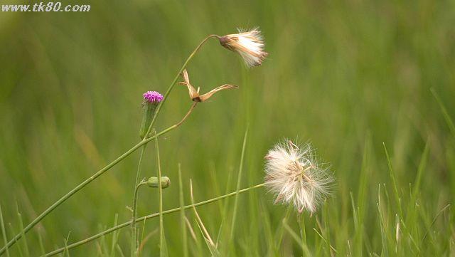 ãã¡ã€ã« 1034-4.jpg