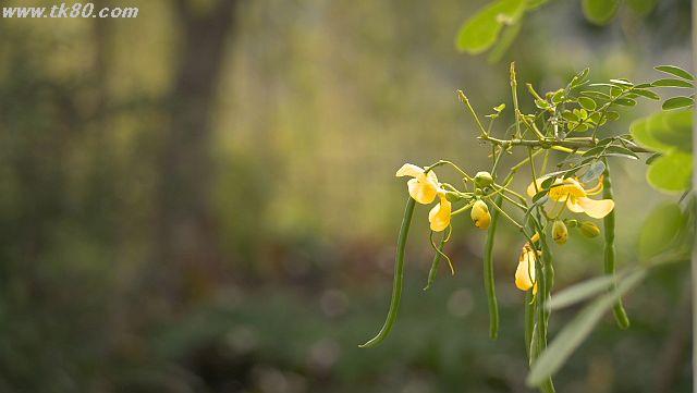 ãã¡ã€ã« 1035-1.jpg